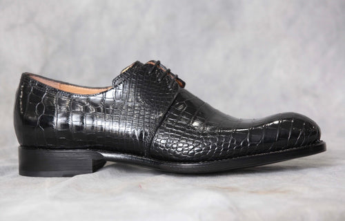 Black Allegator 2364