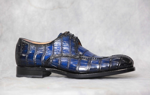 Blue Jayden Allegator